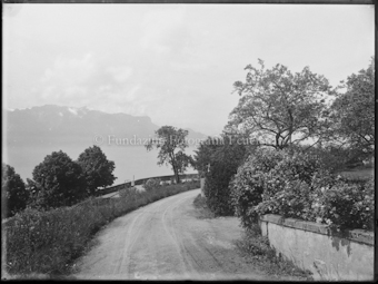 Strasse, rechts Mauer mit Büschen, links Berge