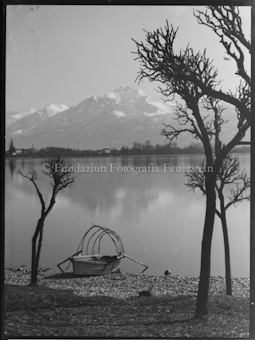 Bracke an Seeufer, Camoghè im Hintergrund