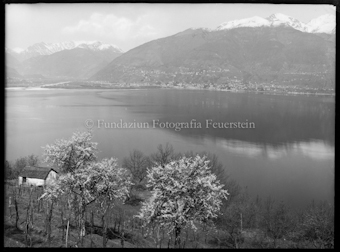 Blick auf Lago Maggiore von Vira  aus