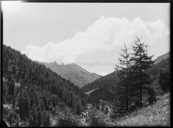 Bewaldetes Bergtal