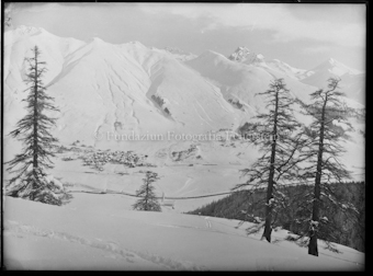 Winterliche Berglandschaft mit Dorf an Hanglage, drei nadelbäume im Vordergrund