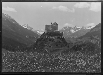 Blumenwiese, Blick auf Schloss Tarasp