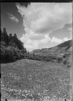 Wiese in Berglandschaft