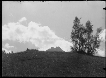 Birke vor Hiimel, Bergspitze im Hintergrund