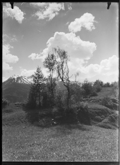 Gruppe Bäume vor Bergen, Himmel