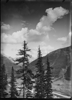 Nationalpark