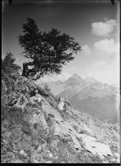 Blick auf Piz d'Esan von Alp Griatschouls