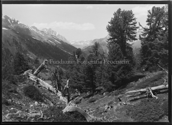 aufgenommen von 46°40'47.53"N, 10°22'6.57"E