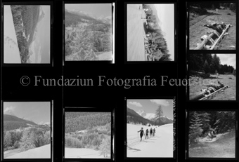 Aussenaufnahme Waldsport, Wintersport, Golf, Wald im Winter