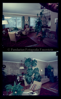 Innenaufnahme Zimmer mit Pflanzen