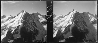 Biancograt Bernina