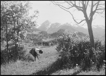 Blick auf Schweizerhof und Piz Nair, Mädchen beim Blumenpflücken