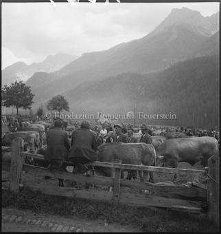Markt in Scuol
