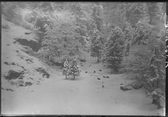 Winterlandschaft mit Gämsen