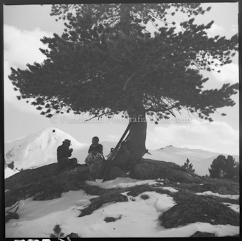 Drei Männer sitzten unter Baum