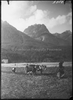 Feldarbeit Scuol