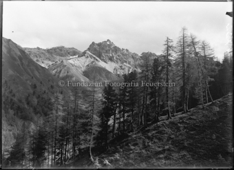 Blick gegen Trupchun