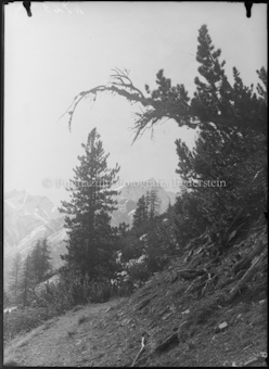 Val Tavrü