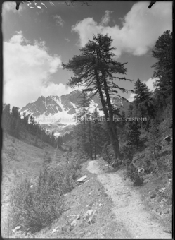 Val Tavrü