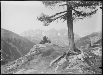 Pisocgruppe