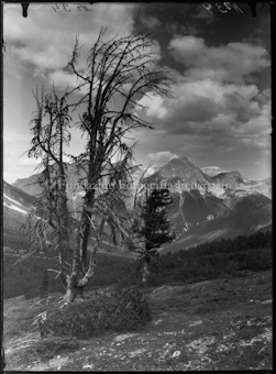 Piz Madlain