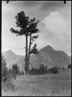 Val Mingèr