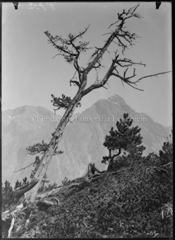 Val Mingèr