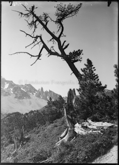 Val Mingèr