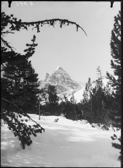 Plavna Dadaint Winter