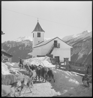 Schafherde unterwegs vor einer Kirche