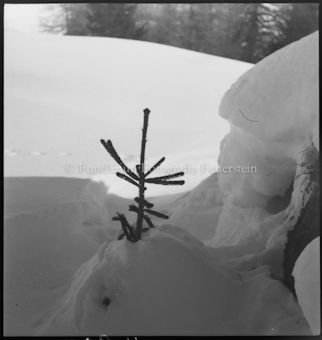 Wergenstein Wintermotiv