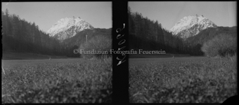 Reh im Hintergrund Berg