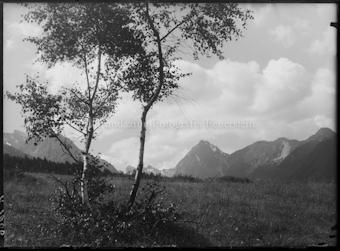 Berglandschaft mit Birken
