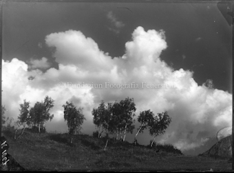 Berglandschaft mit Birken und Wolken