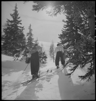 Winteraufnahmen Skigebiet