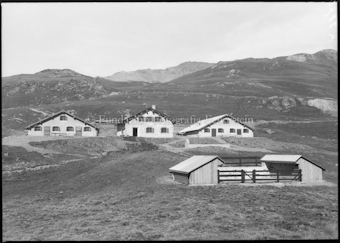 Drei Häuser und Stallung auf Alp