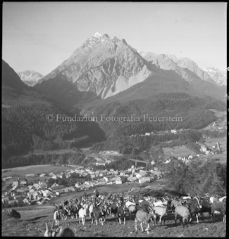 Ziegenherde, Im Hintergrund Dorf und Berg