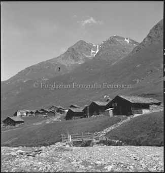Ferrera