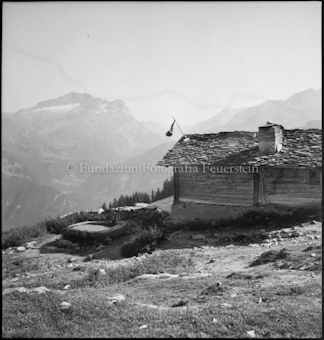 Promischur