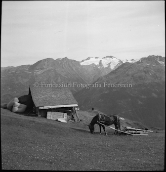 Promischur