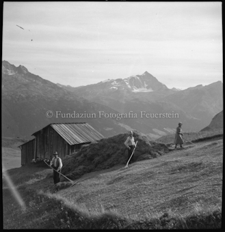 Promischur