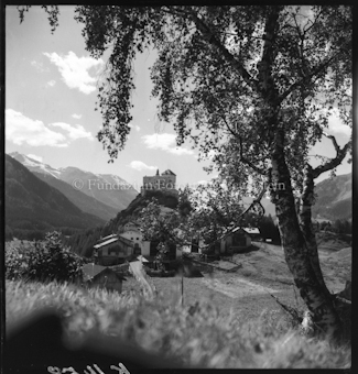 Schloss Tarasp mit Birke