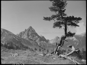 Val Mingèr da D'aint mit Piz Plavna