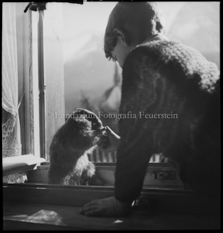 Murmeltier Peterli mit Reto am Fenster
