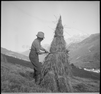 Kornernte, Pola beim Kornbinden
