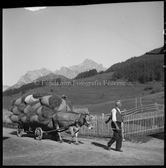 Heufuhrwerk in Tarasp «Büttler»