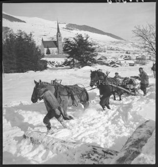 Holzer im Winter 1948