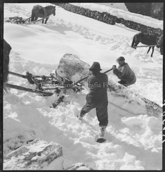 Holzer im Winter 1948