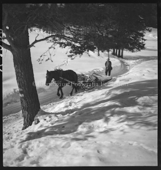 Holzer im Winter 1948