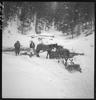 Holzer im Winter 1948